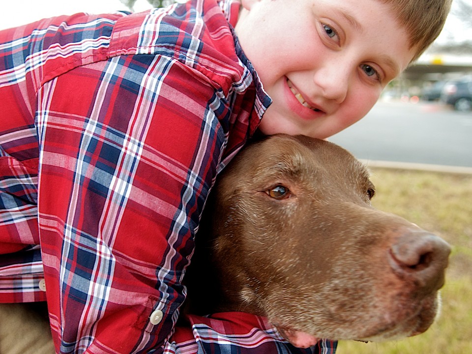 Pops Available for Adoption in TX Blue Dog Rescue